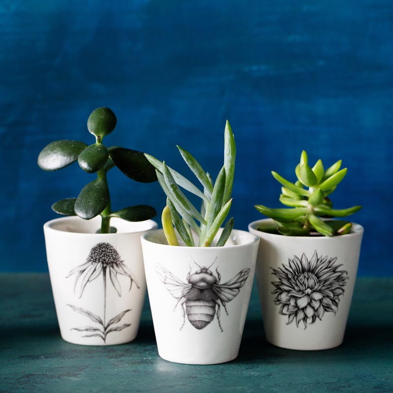 Bistro Cup Honey Bee Laura Zindel Design