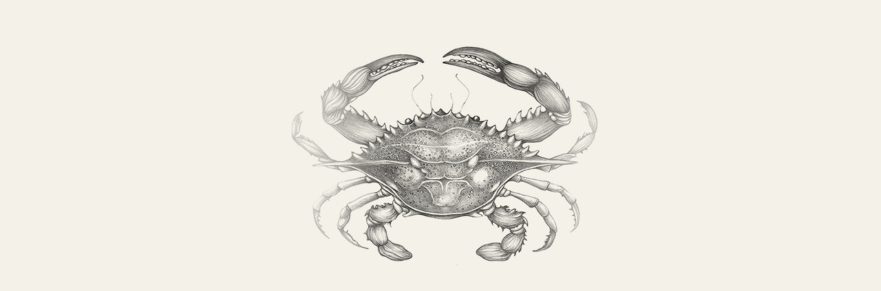 Crab