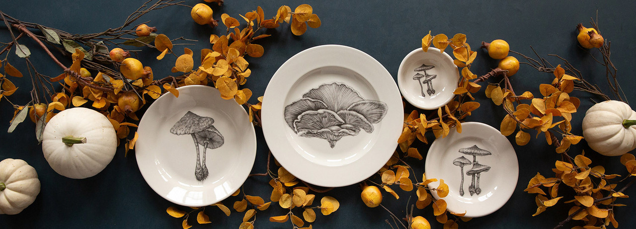 Dinnerware Dinnerware