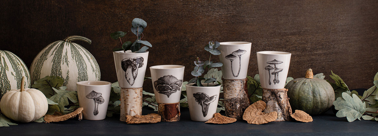 Bistro Cups Bistro Cups