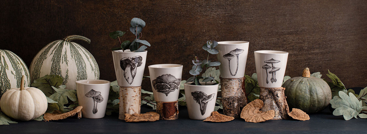 Bistro Cups