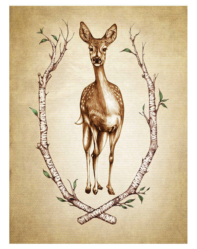 Note Cards: Deer - Laura Zindel Design