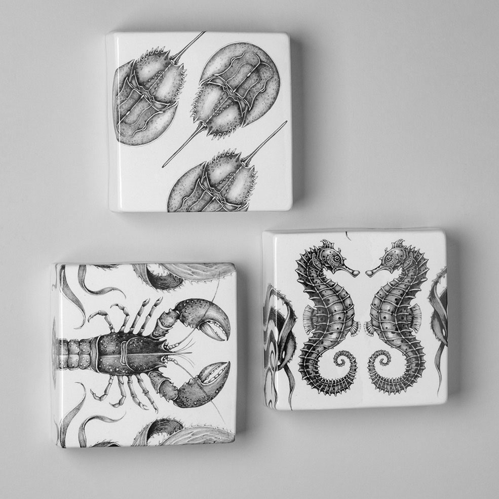 snail shell assasin 付属品完品 イラスト色紙付属 snail shell assasin 付属品完品 イラスト色紙付属 【公式通販】