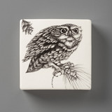 Wall Box: Screech Owl #2