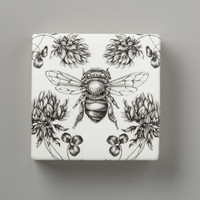 Wall Box: Honey Bee