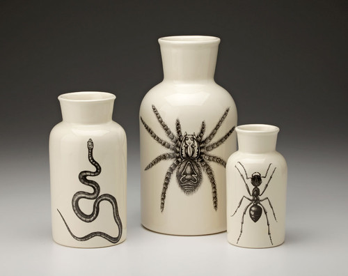 Set of 3 Jars: Tarantula Spider, Snake & Ant