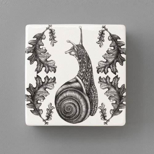 snail shell assasin 付属品完品 イラスト色紙付属 snail shell assasin 付属品完品 イラスト色紙付属 【公式通販】
