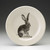 Salad Plate: Sitting Hare