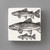 Wall Box: Brown Trout