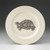 Dinner Plate: Box Turtle