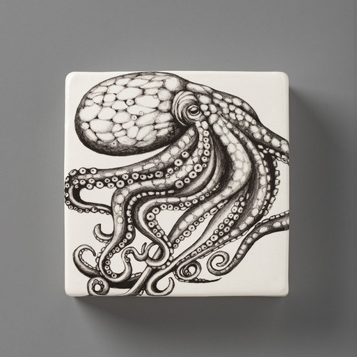 Wall Box: Octopus - Laura Zindel Design