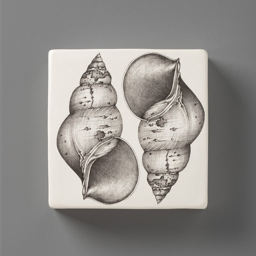 Wall Box: Snail Shell - Laura Zindel Design