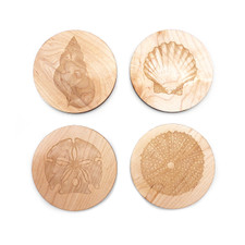 Shell Coaster Set of 4