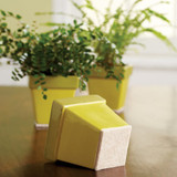 SoftTouch 4720095N  Felt Pad Beige 4-1/2" x 6" - 2 Pack Image 1