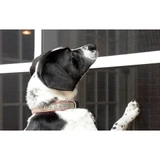 Phifer 3004137  PetScreen 36" x 84" Pet Resistant Black Screen Fabric Image 1