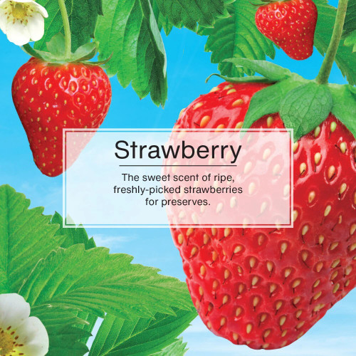 Little Trees CTK-52736  Vent Wrap Car Air Freshener Strawberry Scent - 4 per Package Image 3