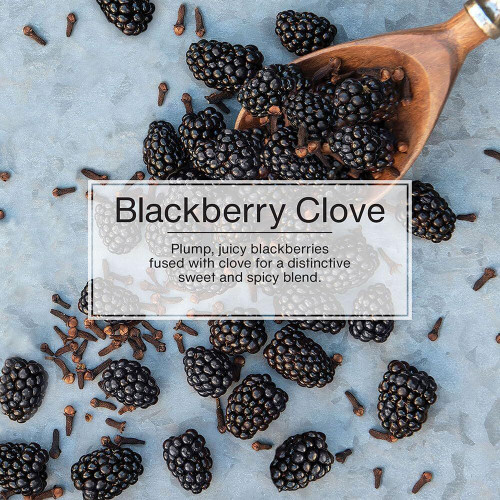 Little Trees U1P17343  Car Air Freshener Blackberry Clove Scent - Single Tree per Package Image 4