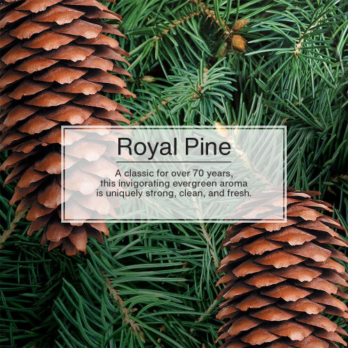 Little Trees U3S32001  Car Air Freshener Royal Pine Scent - 3 Trees per Package Image 4