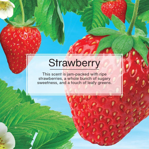 Little Trees U3S32012  Car Air Freshener Strawberry Scent - 3 Trees per Package Image 4