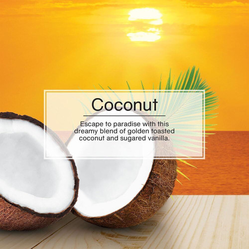 Little Trees U3S32017  Car Air Freshener Coconut Scent - 3 Trees per Package Image 4
