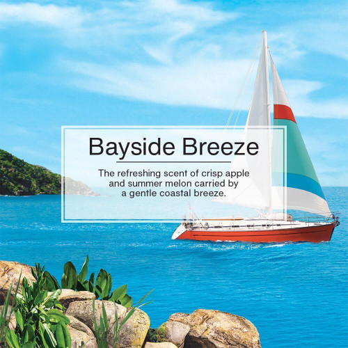 Little Trees U3S37121  Car Air Freshener Bayside Breeze Scent - 3 Trees per Package Image 4