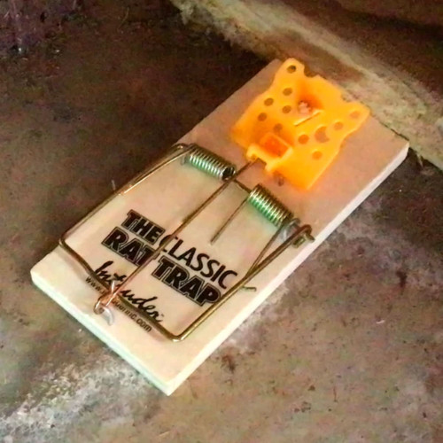Intruder 17200  The Classic Rat Trap Image 4
