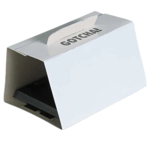 Intruder 17500  The Better Glue Trap for Regular Temperature with Canopy Small 4 Pack Image 3 Intruder 17500  The Better Glue Trap for Regular Temperature with Canopy Small 4 Pack Image 3