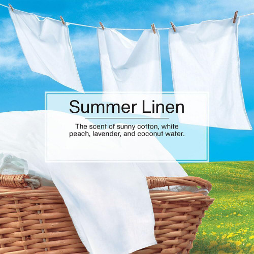 Little Trees U1P10574  Car Air Freshener Summer Linen Scent - Single Tree per Package Image 4