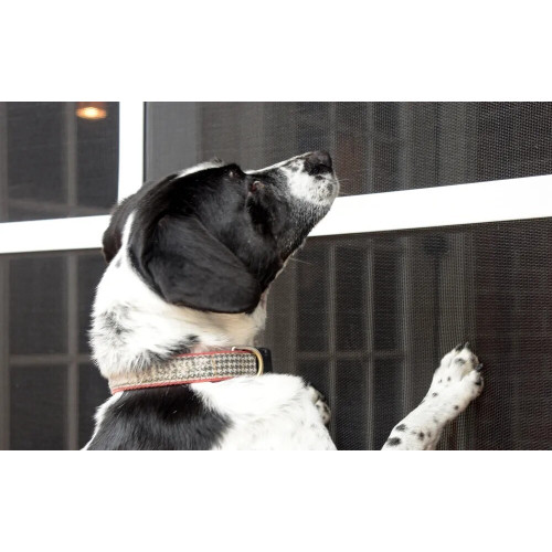 Phifer 3004127  PetScreen 36" x 100' Pet Resistant Black Screen Fabric (902800) Image 1