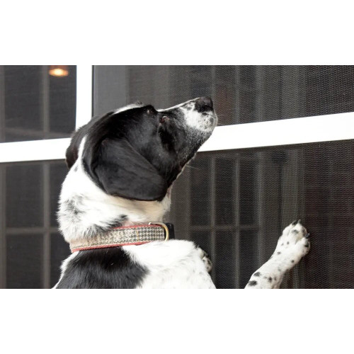 Phifer 3004137  PetScreen 36" x 84" Pet Resistant Black Screen Fabric Image 1