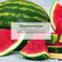 Little Trees CTK-52744  Vent Wrap Car Air Freshener Watermelon Scent - 4 per Package Image 3