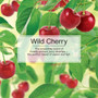 Little Trees U1P10311  Car Air Freshener Wild Cherry Scent - Single Tree per Package Image 4