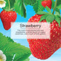 Little Trees U1P10312  Car Air Freshener Strawberry Scent - Single Tree per Package Image 4