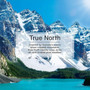Little Trees U1P17146  Car Air Freshener True North Scent - Single Tree per Package Image 4