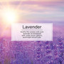 Little Trees U3S32035  Car Air Freshener Lavender Scent - 3 Trees per Package Image 4