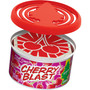 Little Trees UFC-17811-24  Fiber Can Air Freshener Cherry Blast Scent Image 5