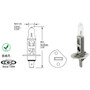 CEC H1-100W  Halogen Bulb 100W - 1 per Package Image 1