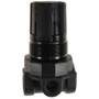 Coilhose Pneumatics MR2-DL  Mini Regulator with 1/4" NPT Image 0