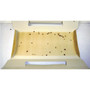 Intruder 21000  The Better Insectrap - 4 Traps per Package Image 1