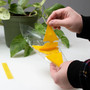 Intruder 21085  The Better Bugtrap for Plants with Hangties 10 Pack Image 3 Intruder 21085  The Better Bugtrap for Plants with Hangties 10 Pack Image 3