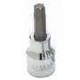 Performance Tool W38840  T-40 3/8" Drive Star Bit Socket Image 0