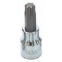 Performance Tool W38847  T-47 3/8" Drive Star Bit Socket Image 0