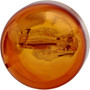 Philips 7440NALL  LongerLife Miniature Bulbs - Natural Amber - 2 Bulbs per Package (7440NALLB2) Image 3