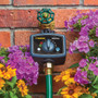 Melnor 13012  Sunrise Once-a-Day Water Timer Image 1