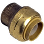 Lincoln 107540  1/2" SharkBite Push Lock Cap (U514LF) Image 0
