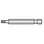 Lutz 23059  2" #20 Star (Torx) Compatible Bit - 75 per Jar Image 0