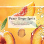 Little Trees U1P17344  Car Air Freshener Peach Ginger Spritz Scent - Single Tree per Package Image 4