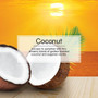 Little Trees U6P60317  Car Air Freshener Coconut Scent - 6 Trees per Package Image 4
