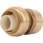 SharkBite U094LFA  1" Push-to-Connect x 1" FNPT Brass Straight Adapter Image 0