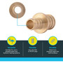 SharkBite UC058LFA  1/2" x 3/4" Barbed Brass Reducing Coupler for PEX Image 2